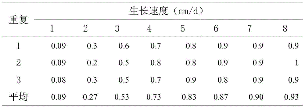 Metarhizium anisopliae MAYX130921 and application thereof