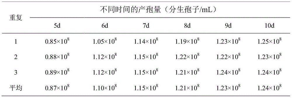 Metarhizium anisopliae MAYX130921 and application thereof