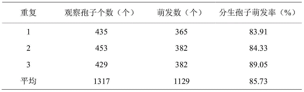 Metarhizium anisopliae MAYX130921 and application thereof