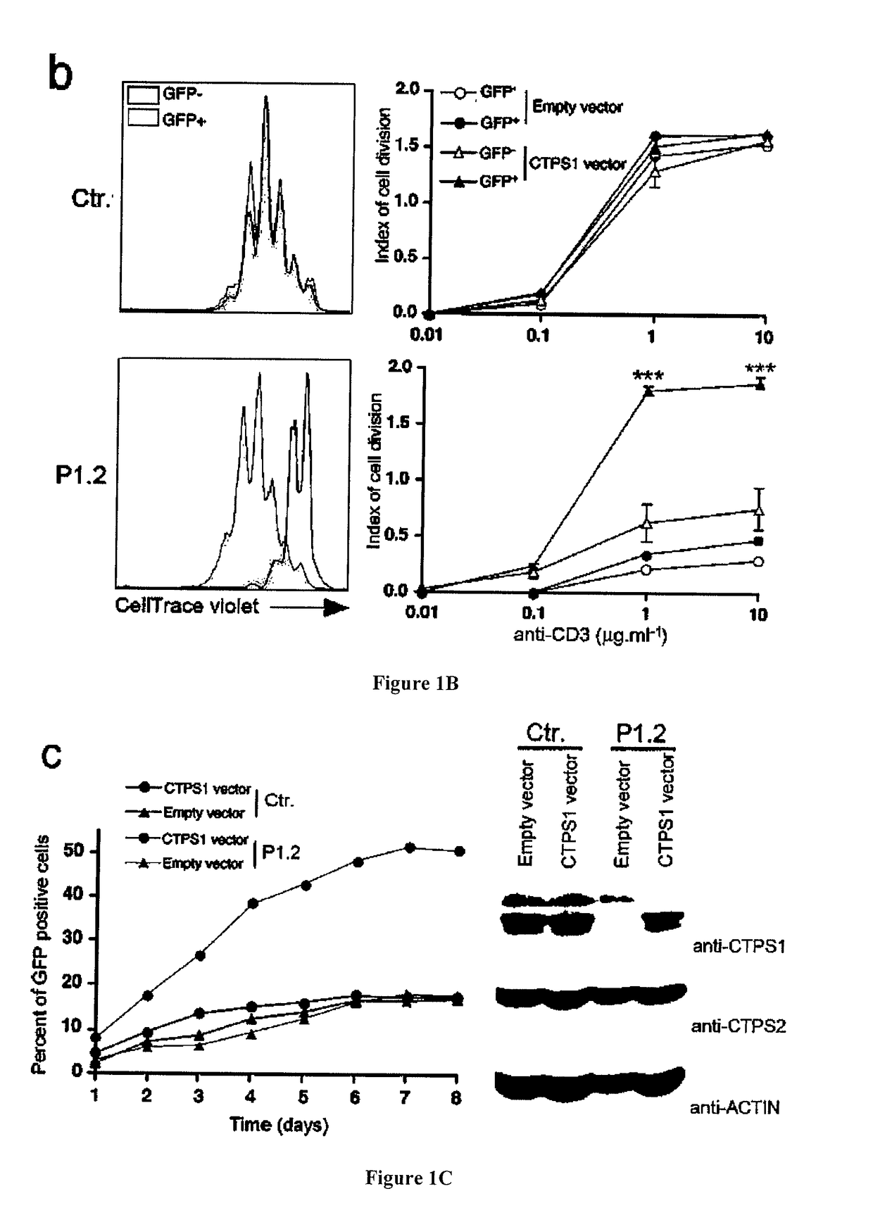 Methods and pharmaceutical compositions for inhibiting lymphocyte proliferation in a subject in need thereof