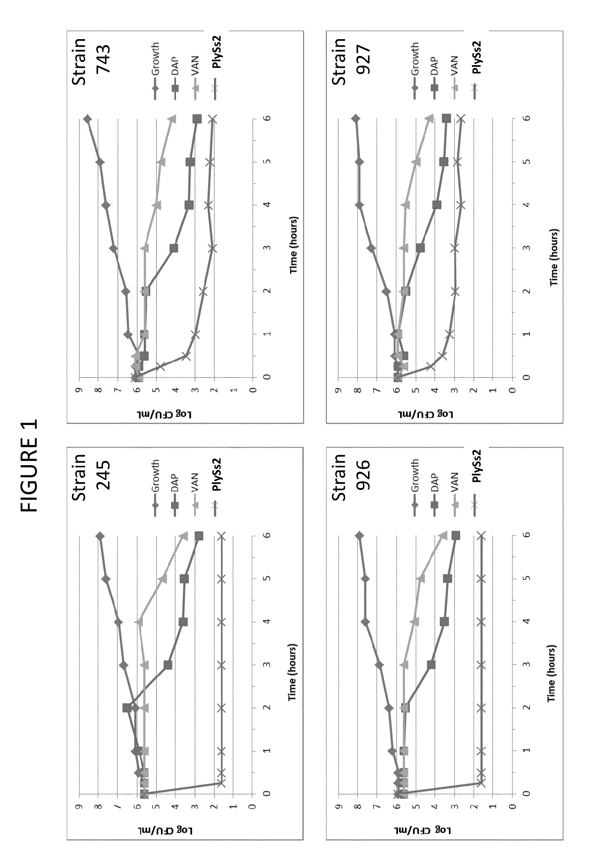 Bacteriophage lysin and antibiotic combinations against gram positive bacteria