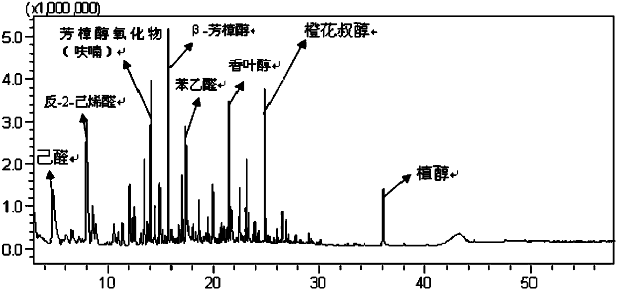 Processing method of fungus-fragrance black tea