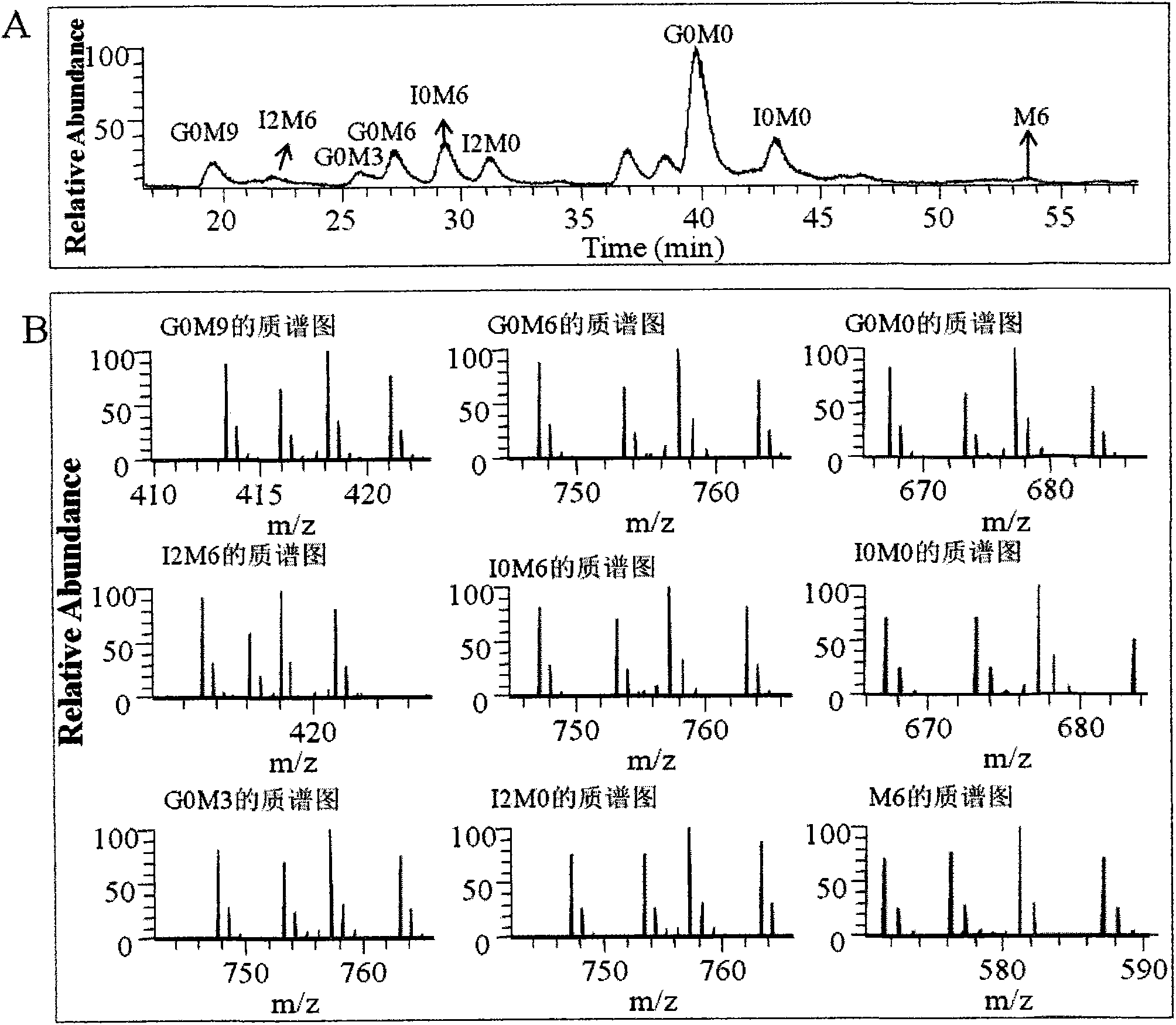 Method for degrading heparan sulfate and detecting heparan sulfate disaccharide composition