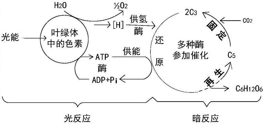 Knowledge classification-based multi-screen knowledge visualization method