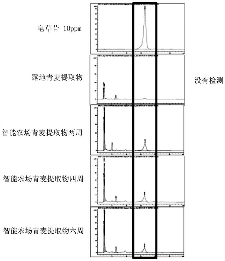 Cosmetic composition for skin improvement comprising green barley extract