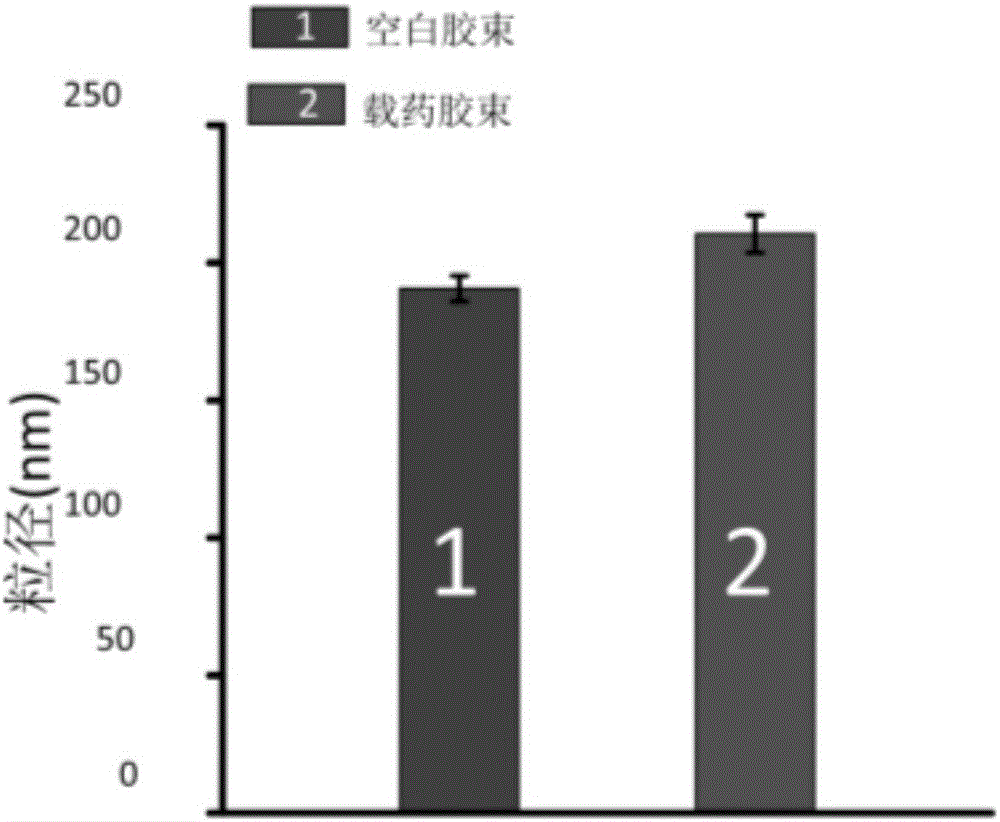 Amphiphilic chitosan derivative drug-loaded nano-micelle and preparation method