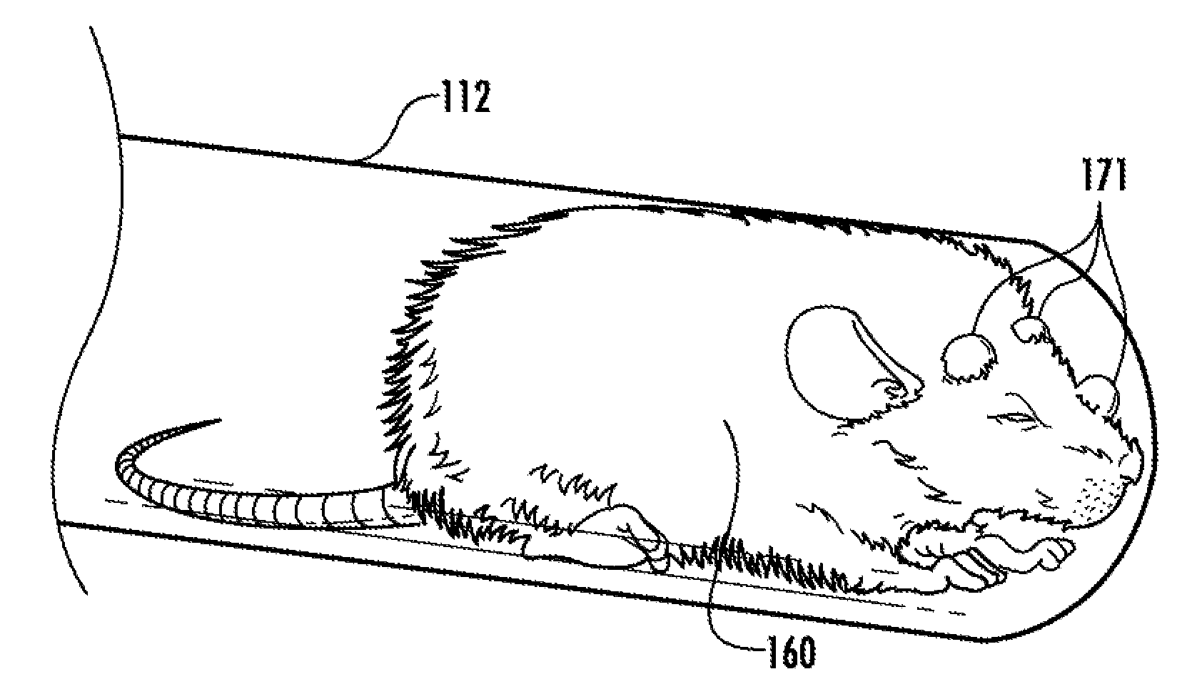 System and method for tracking motion for generating motion corrected tomographic images