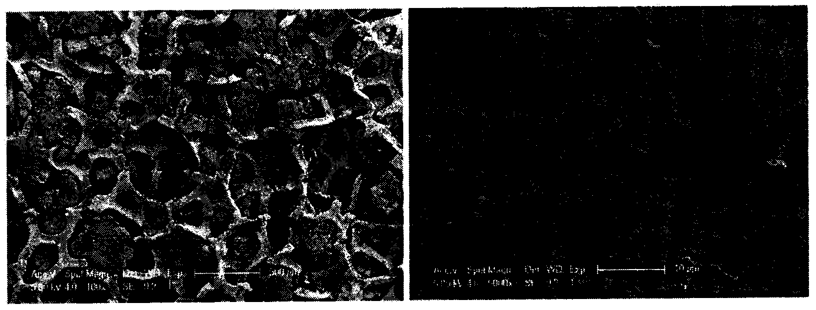 Method for preparing lithium iron phosphate membrane electrode