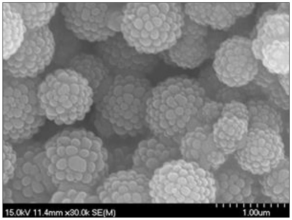 Preparation method of raspberry-shaped SiCxNyOz microspheres converted by polysilazane