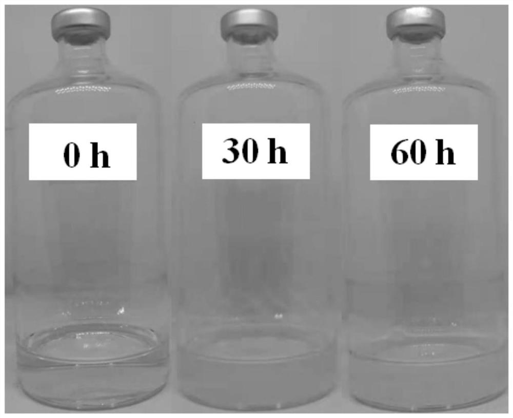 BTEX degrading bacterium, screening method therefor and application of BTEX degrading bacterium