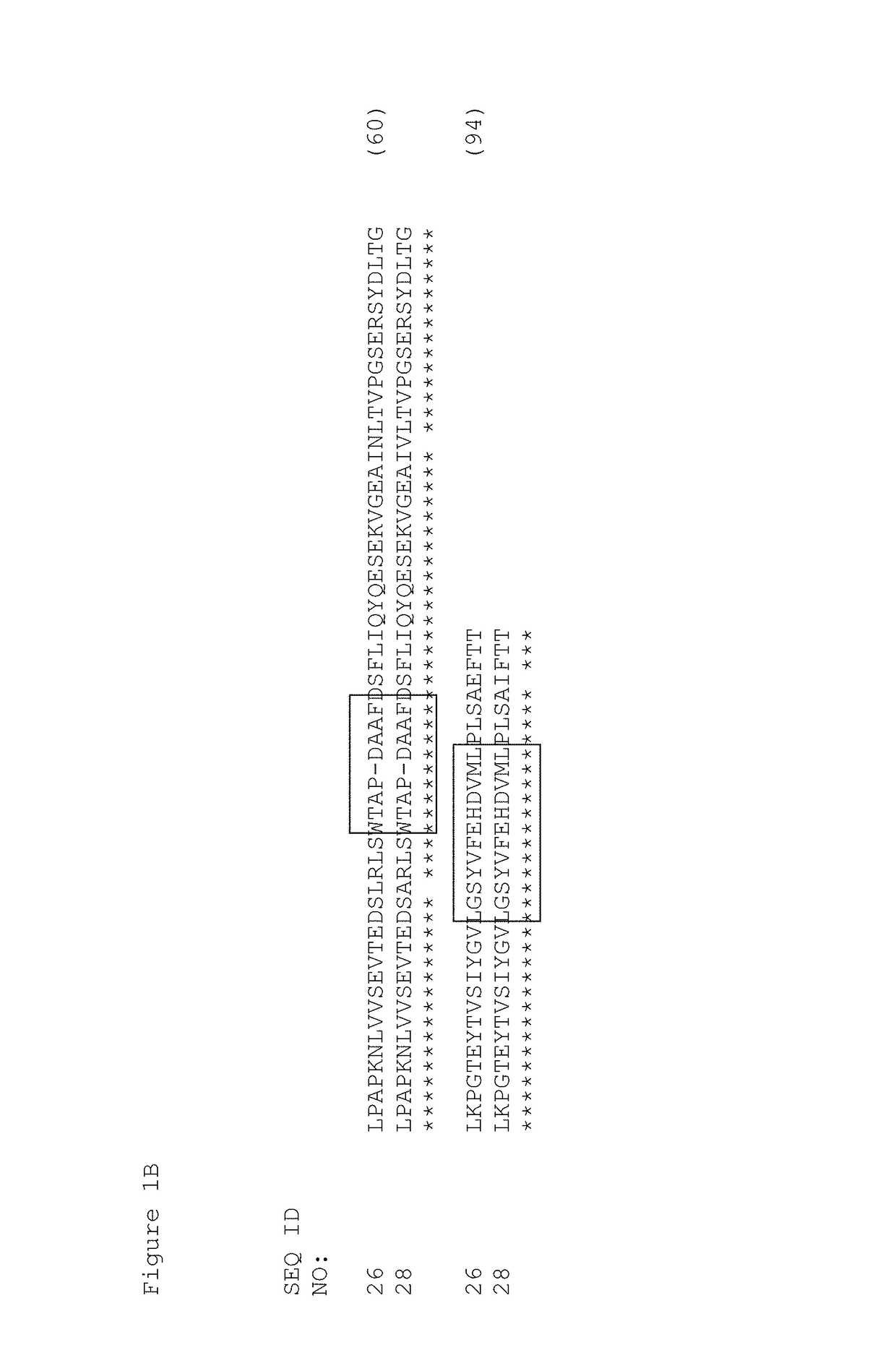 EGFR and C-Met fibronectin type III domain binding molecules