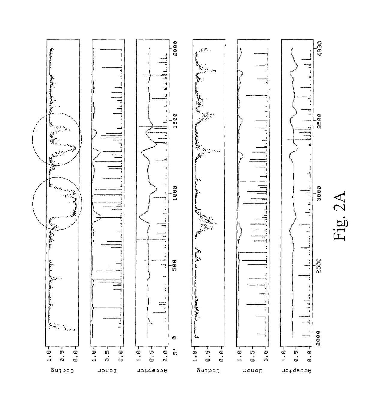 RNA virus-derived plant expression system