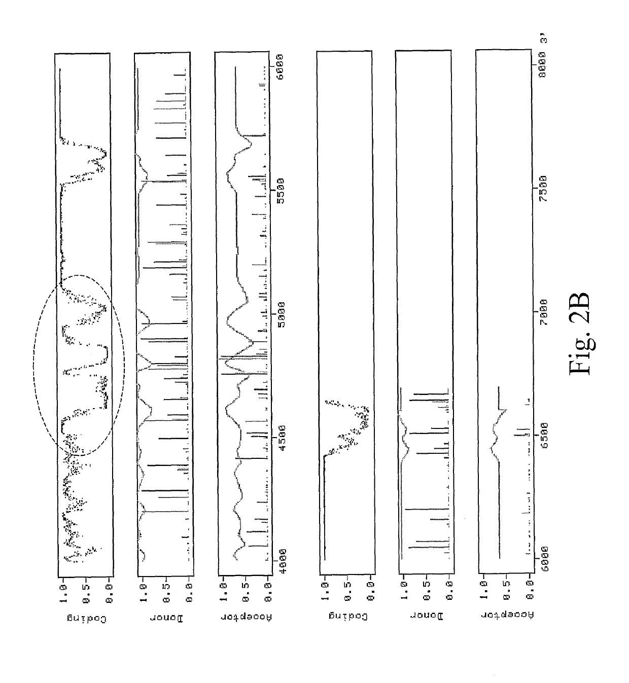 RNA virus-derived plant expression system