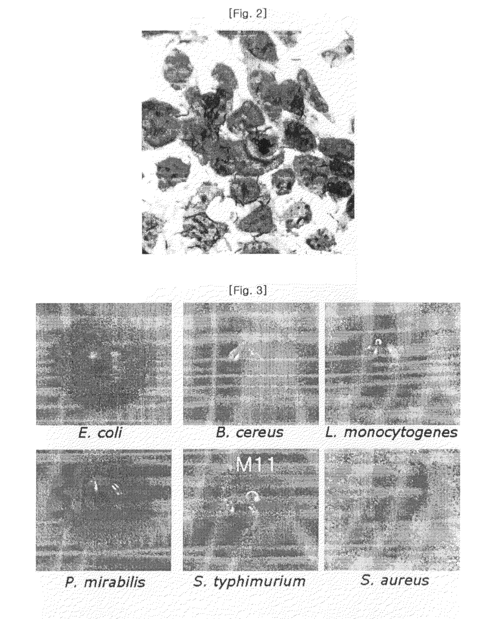 Lactic acid bacteria isolated from mother's milk with probiotic activity and inhibitory activity against body weight augmentation