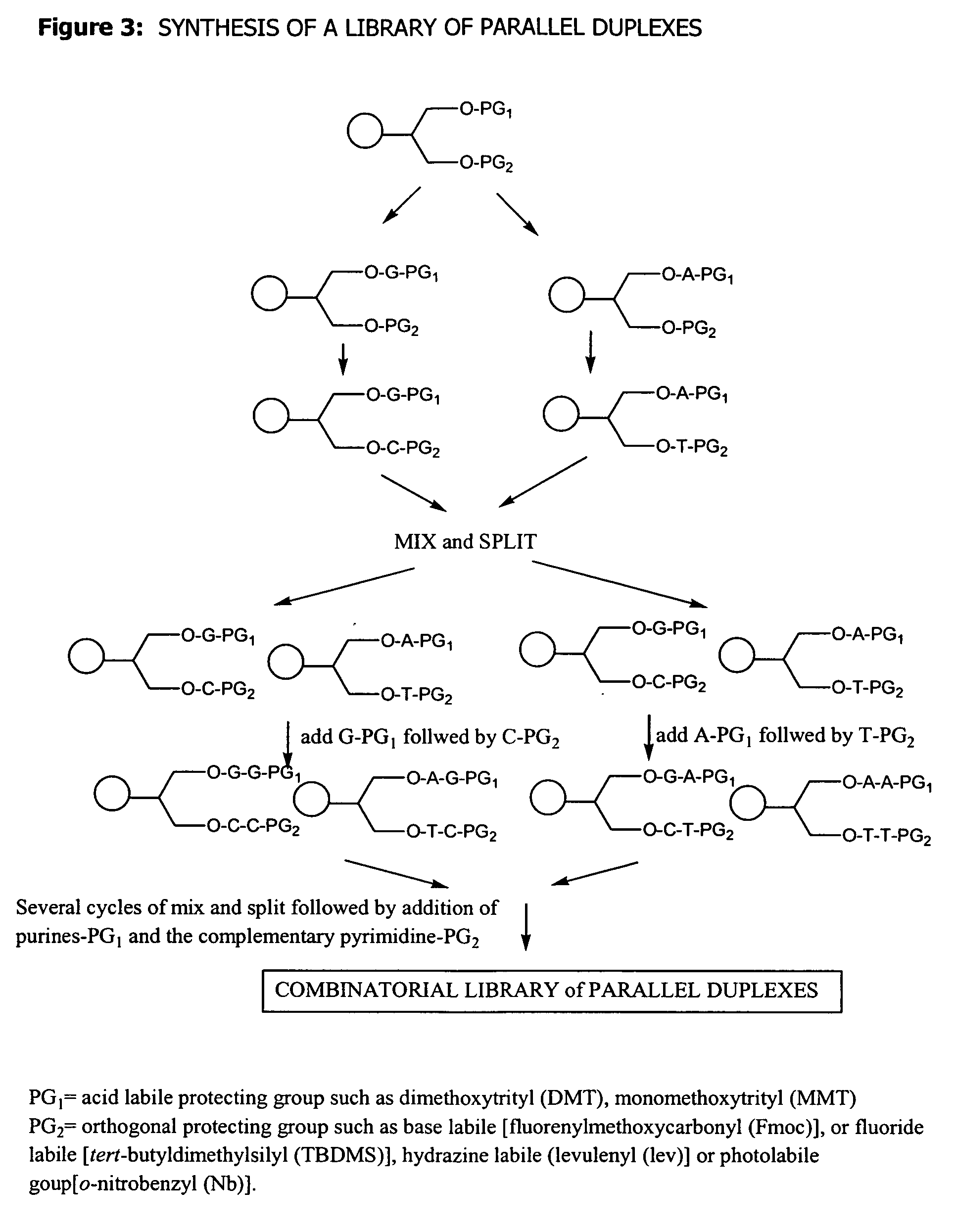 Methods and compositions for in vitro and in vivo use of parallel stranded hairpins and triplex structures as nucleic acid ligands