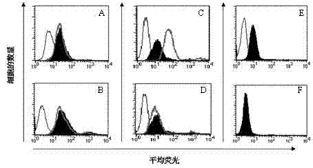 Application of intravenous immunoglobulins (IVIg) in inhibiting cholera toxin and galectin from being combined into ganglioside GM1