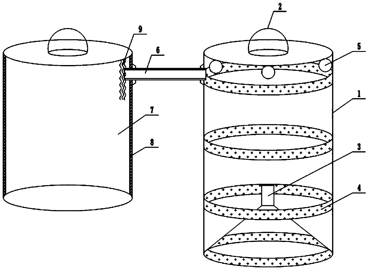 Light, simple and efficient two-stage harmonia axyridis raising method