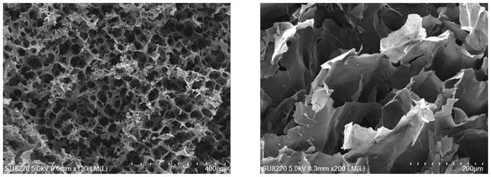 Lignin/reduced graphene oxide carbon aerogel electromagnetic shielding material as well as preparation method and application thereof