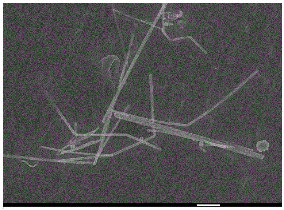 A method of preparing a polyaniline/silver nanometer material by a cladding manner