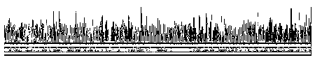 Primer for identifying recessive white feather genotype of Xianglu mountain chickens and application of primer