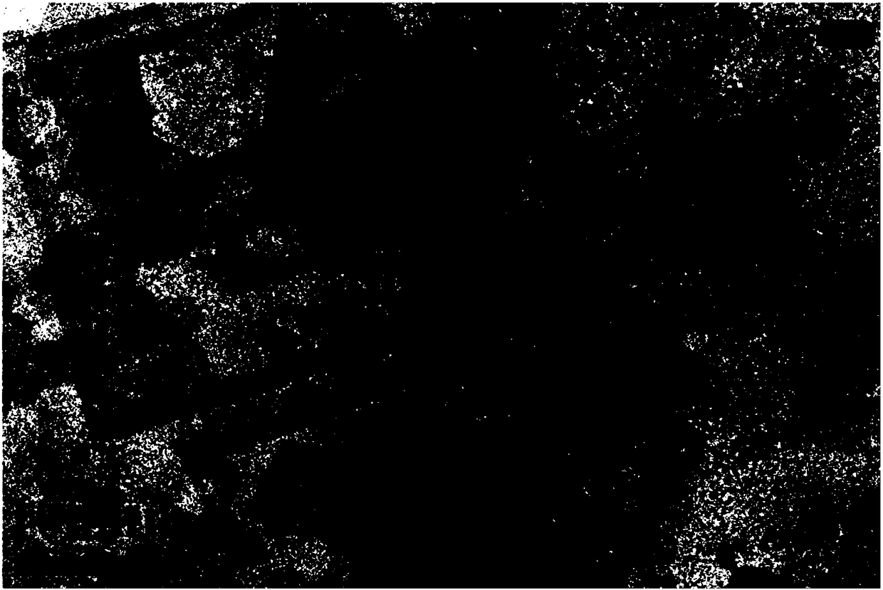 Preparation method of perovskite nanocrystals