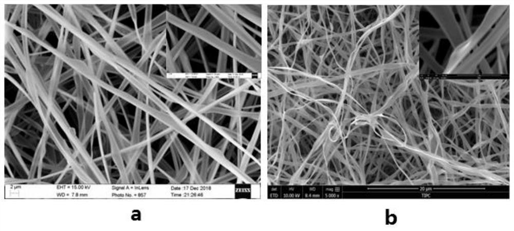 dual function pt-iro  <sub>2</sub> Nanowire electrocatalyst and its preparation method and fuel cell