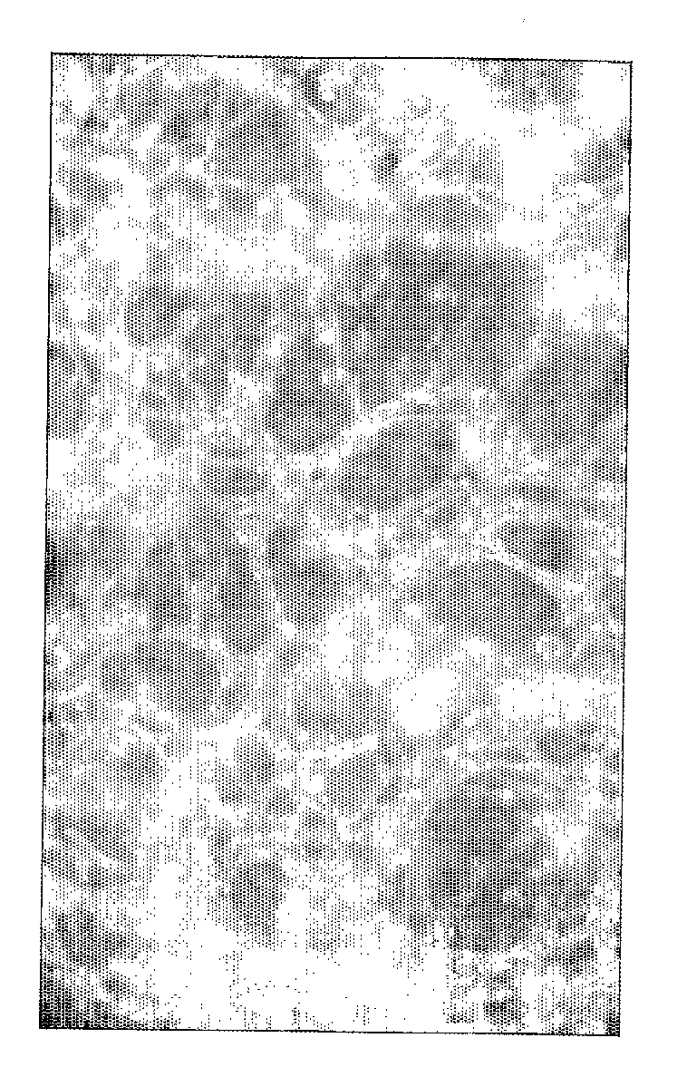 Microneedle Arrays and Methods of Preparing Same