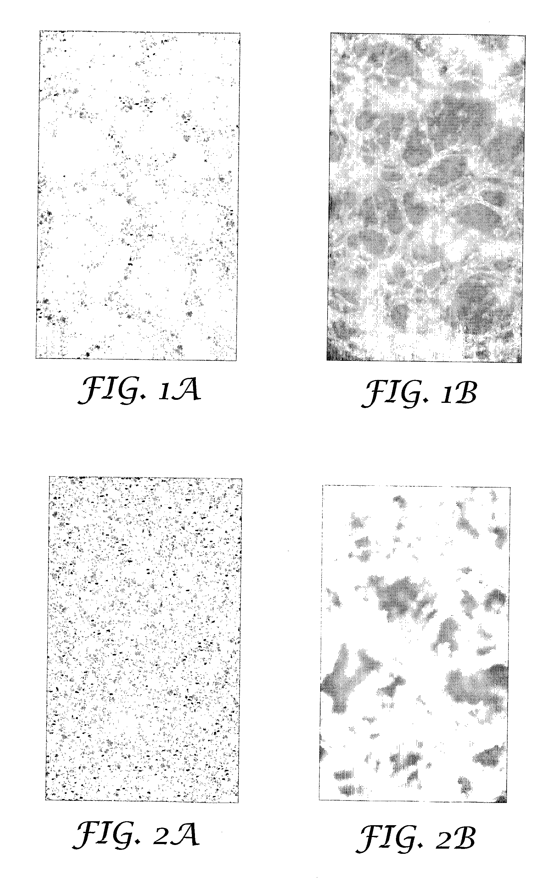 Microneedle Arrays and Methods of Preparing Same