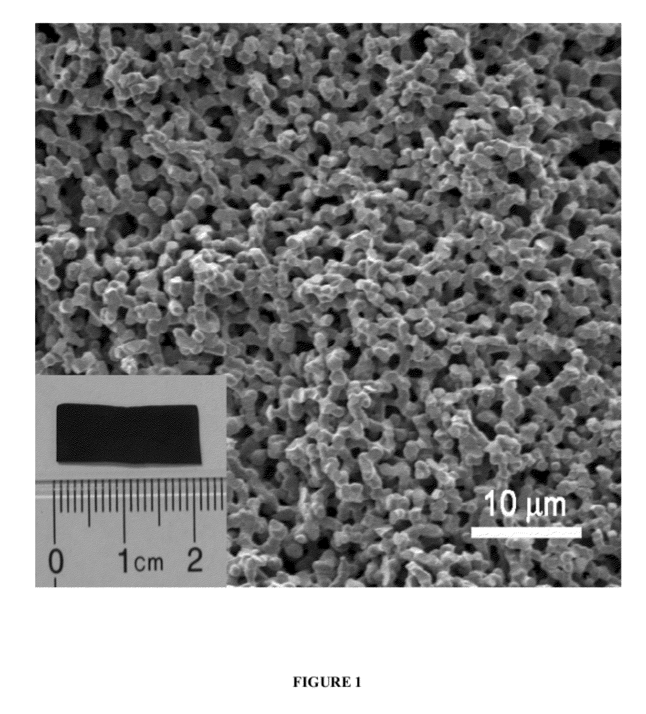 Porous substrates filled with nanomaterials