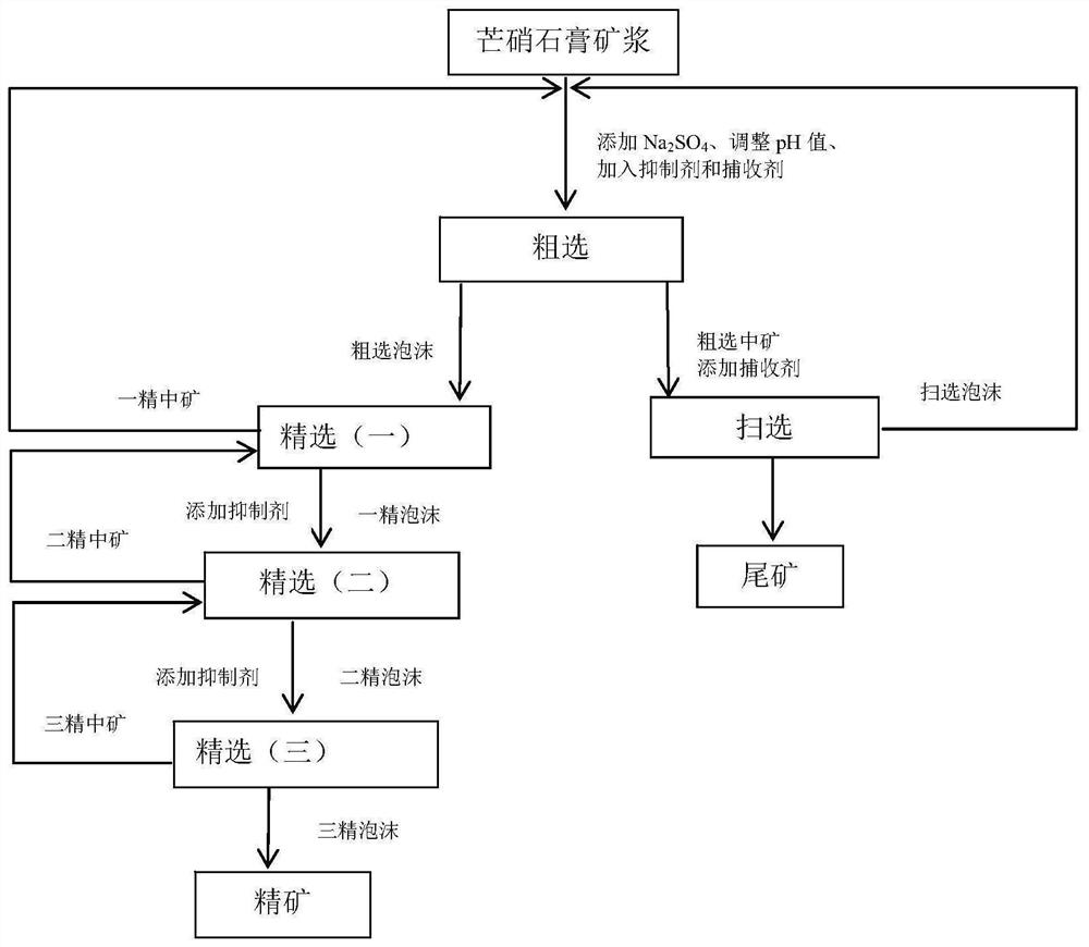 Efficient mirabilite gypsum flotation purification process