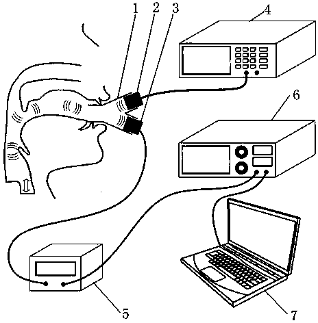 Vocal-cord vibration nondestructive measurement method utilizing natural sound track ultraphonic waveguide effect