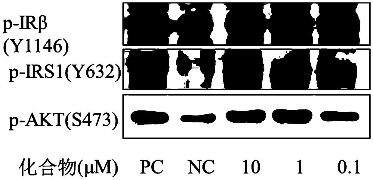 Oxadiazole compounds and their application in the preparation of drugs for preventing and/or treating type 2 diabetes