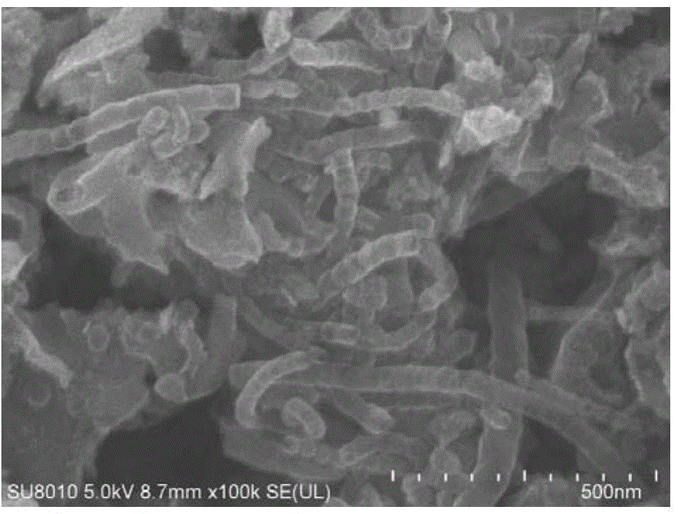 Compound type fuel cell cathode catalyst NGPC/NCNTs and preparation method thereof