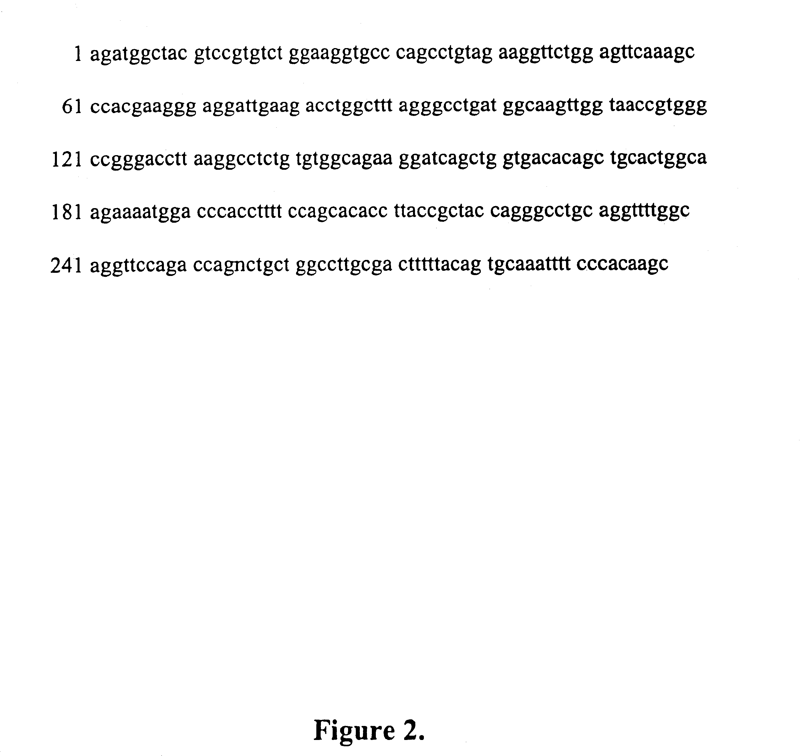 Prolactin regulatory element binding protein and uses thereof