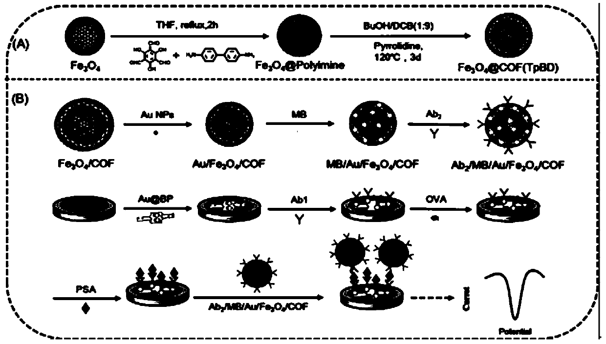 Preparation method of electrochemical immunosensor for detecting prostate specific antigen