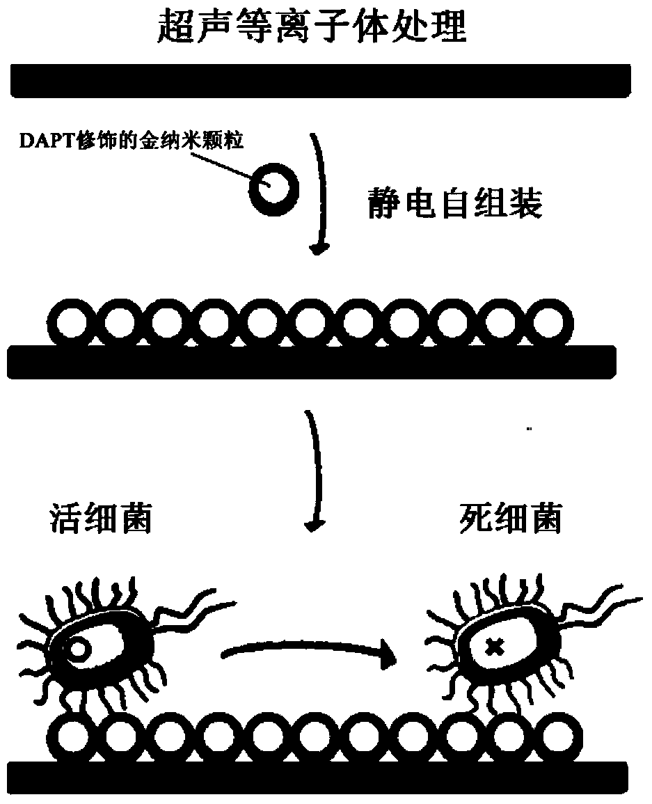 Antibacterial products based on gold nanoparticles and its preparation method and application