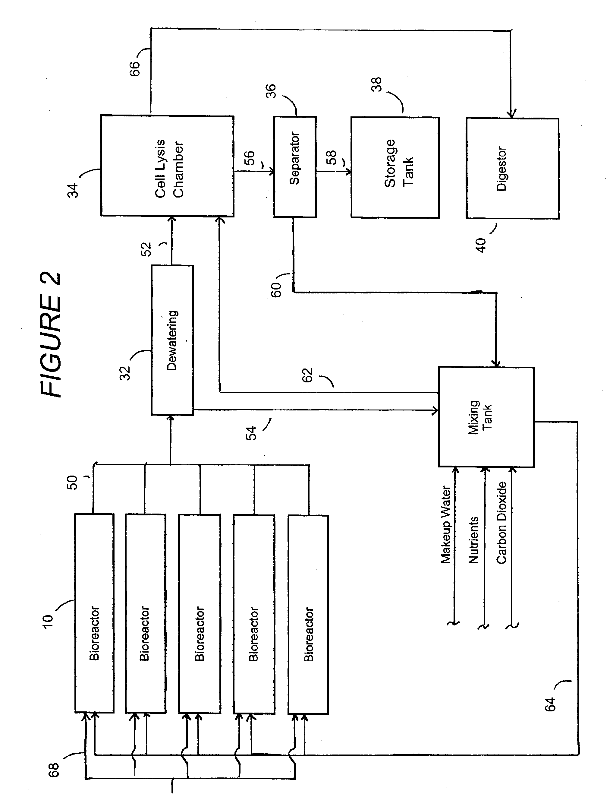 System for fermentation using algae