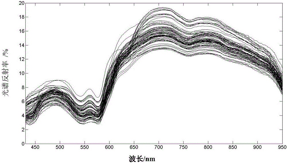 Hyperspectral detection method of color and texture changes in preserved meat salting process