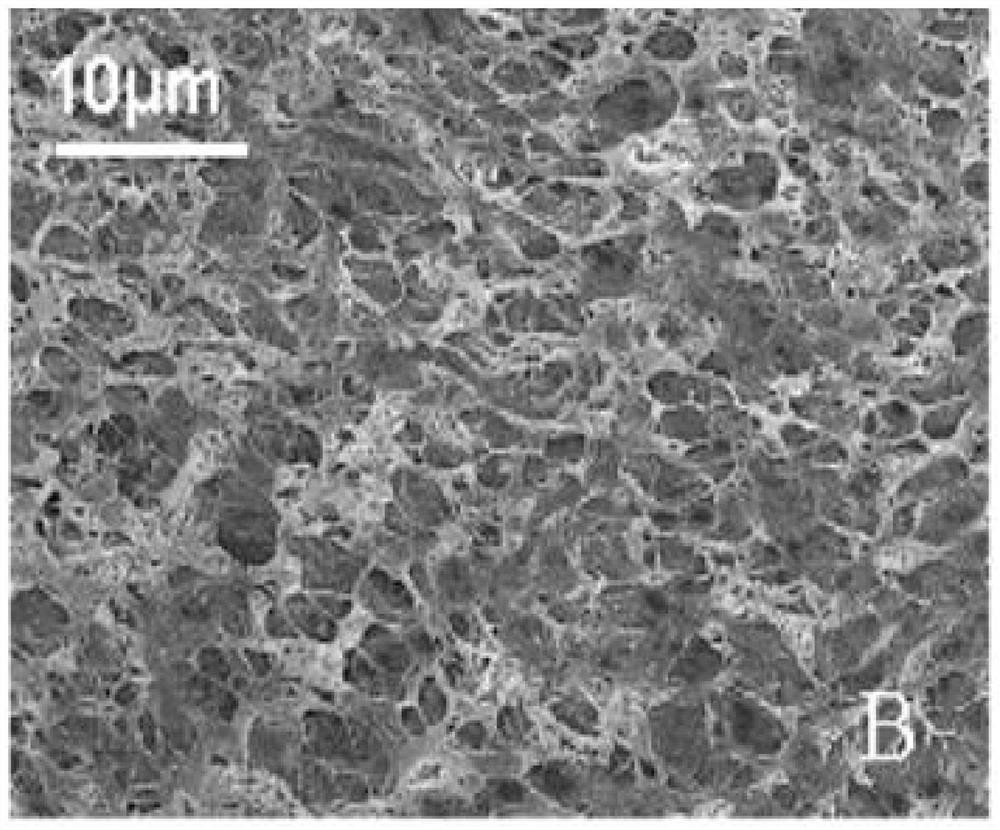 A composite plugging agent with high temperature resistance and salt resistance