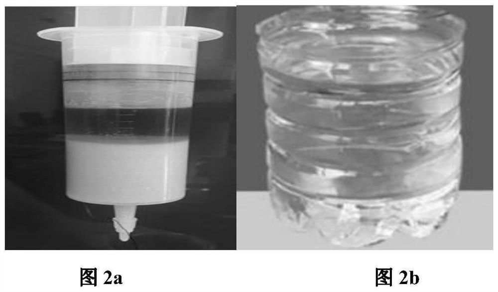 A composite plugging agent with high temperature resistance and salt resistance