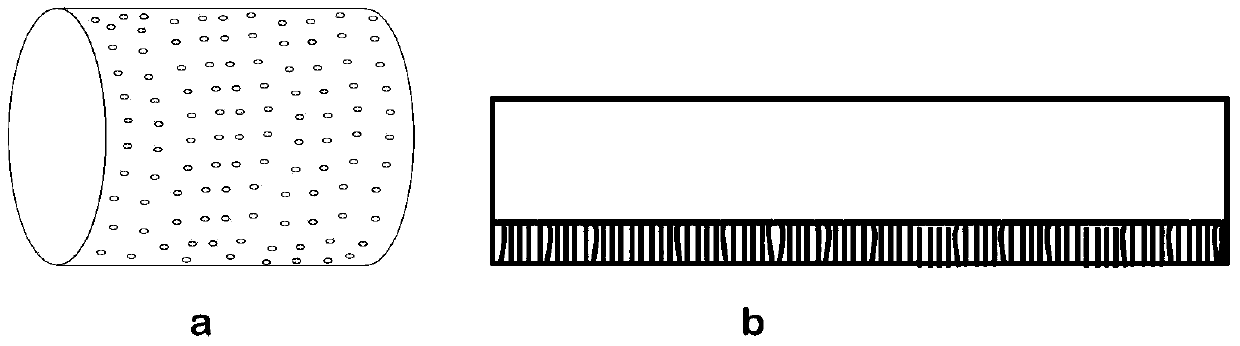 Nano-film spinning device