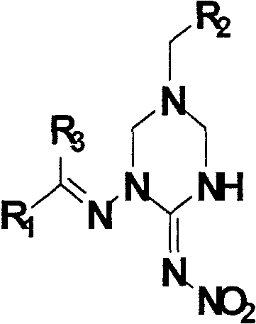 1,5-disubstituted hexahydrotriazine-2-N-nitroimine derivative