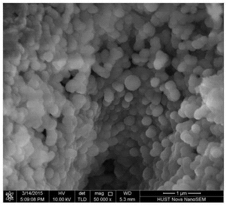 Fresh biomass high-value treatment device and method based on microwave hydrothermal carbonization