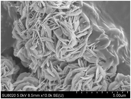 Heat conduction material-doped vanadium phosphorus oxide catalyst, preparation thereof and application thereof to selective catalytic oxidization synthesis of maleic anhydride with n-butane