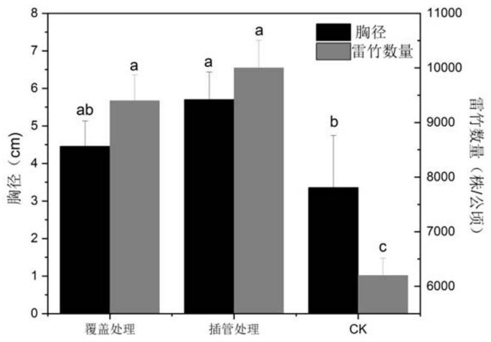 Pipe insertion ventilation method suitable for covering phyllostachys praecox forest in southern China