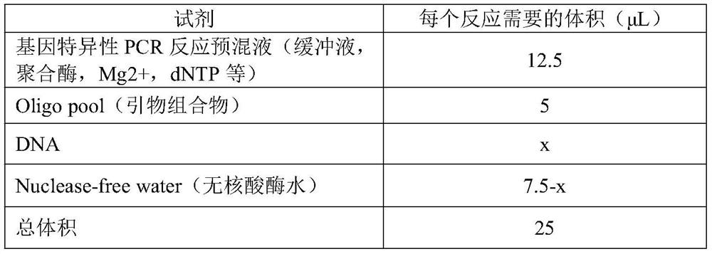 Lung cancer or colorectal cancer mutant gene detection primer composition and application thereof