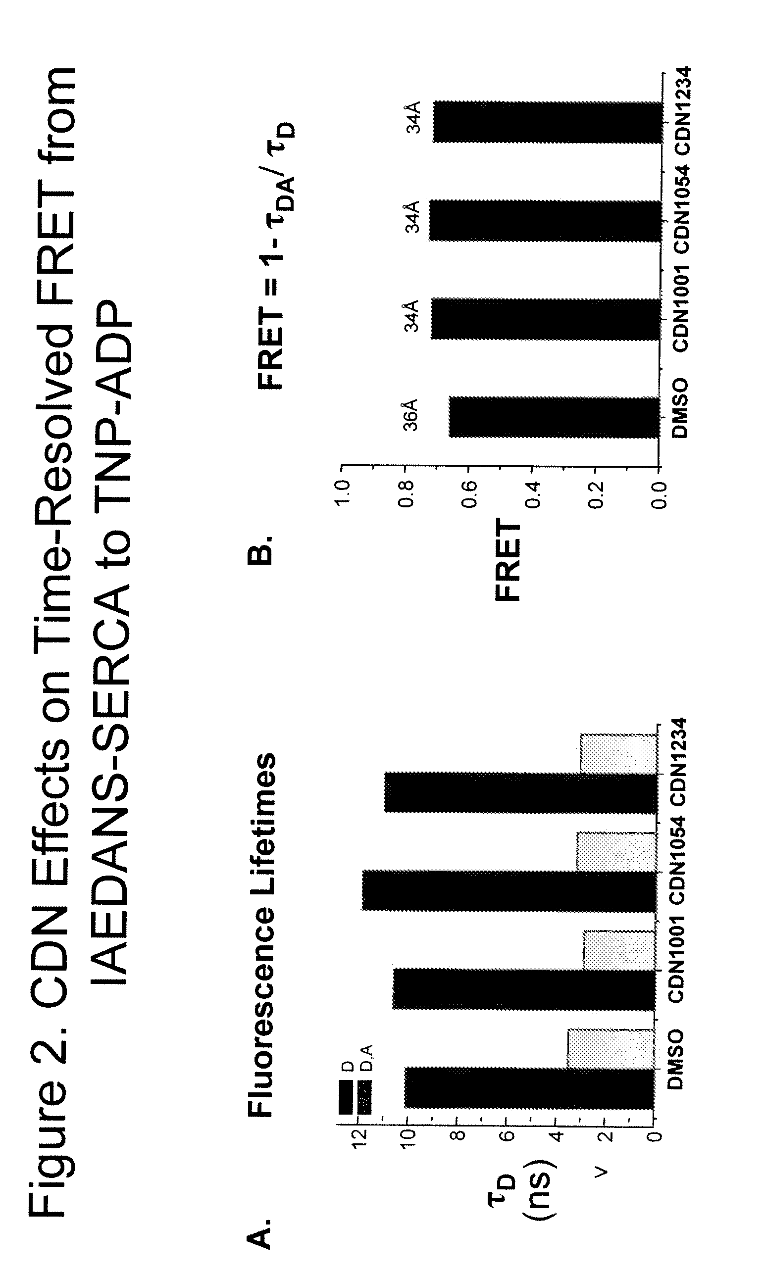 Fluorescence resonance energy transfer assays for sarco/endoplasmic reticulum calcium atpase and phospholamban