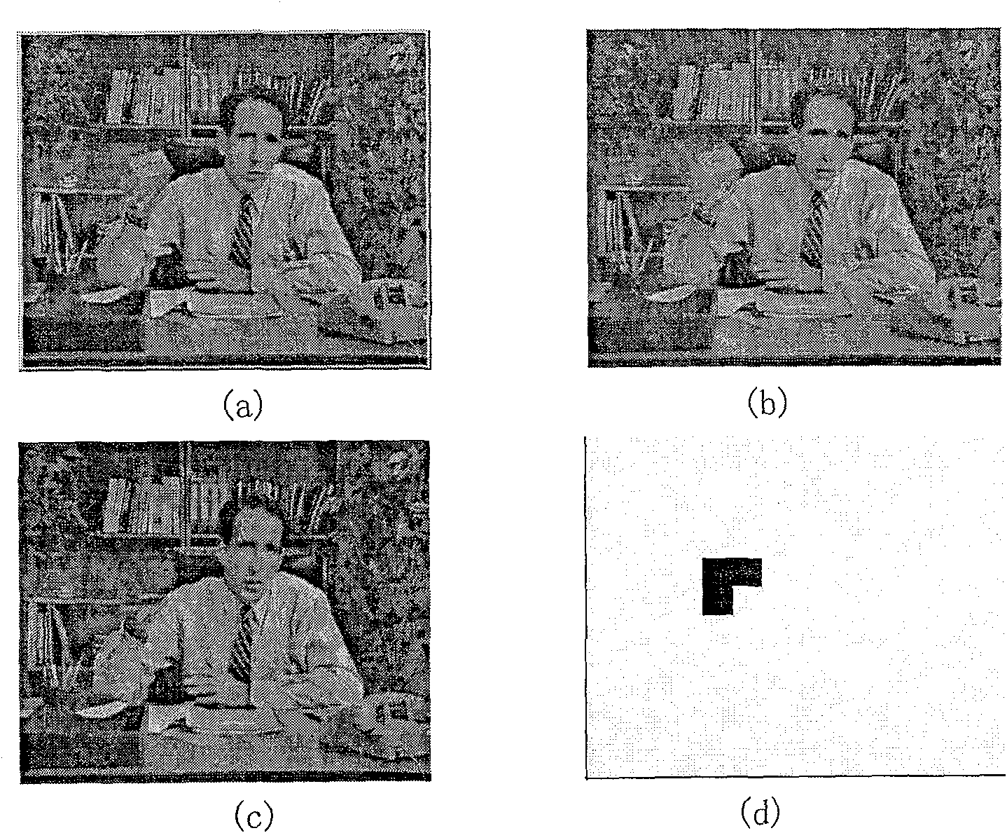 Video-frequency identifying method based on small wave conversion and mixed watermark