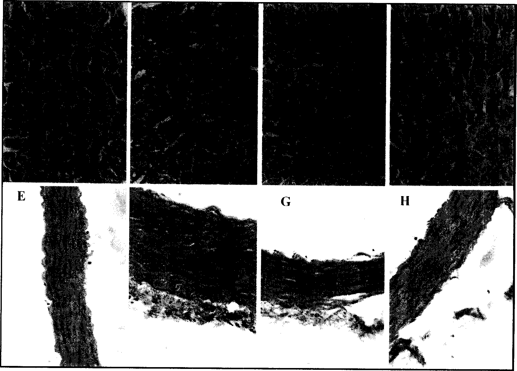 Composition and its use