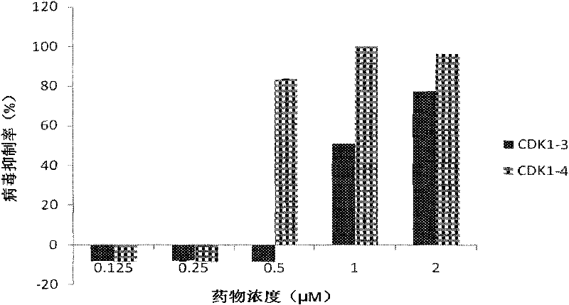 Structure and application of anti-ev71, dengue, Japanese encephalitis and influenza virus oligonucleotide targeting cdk1